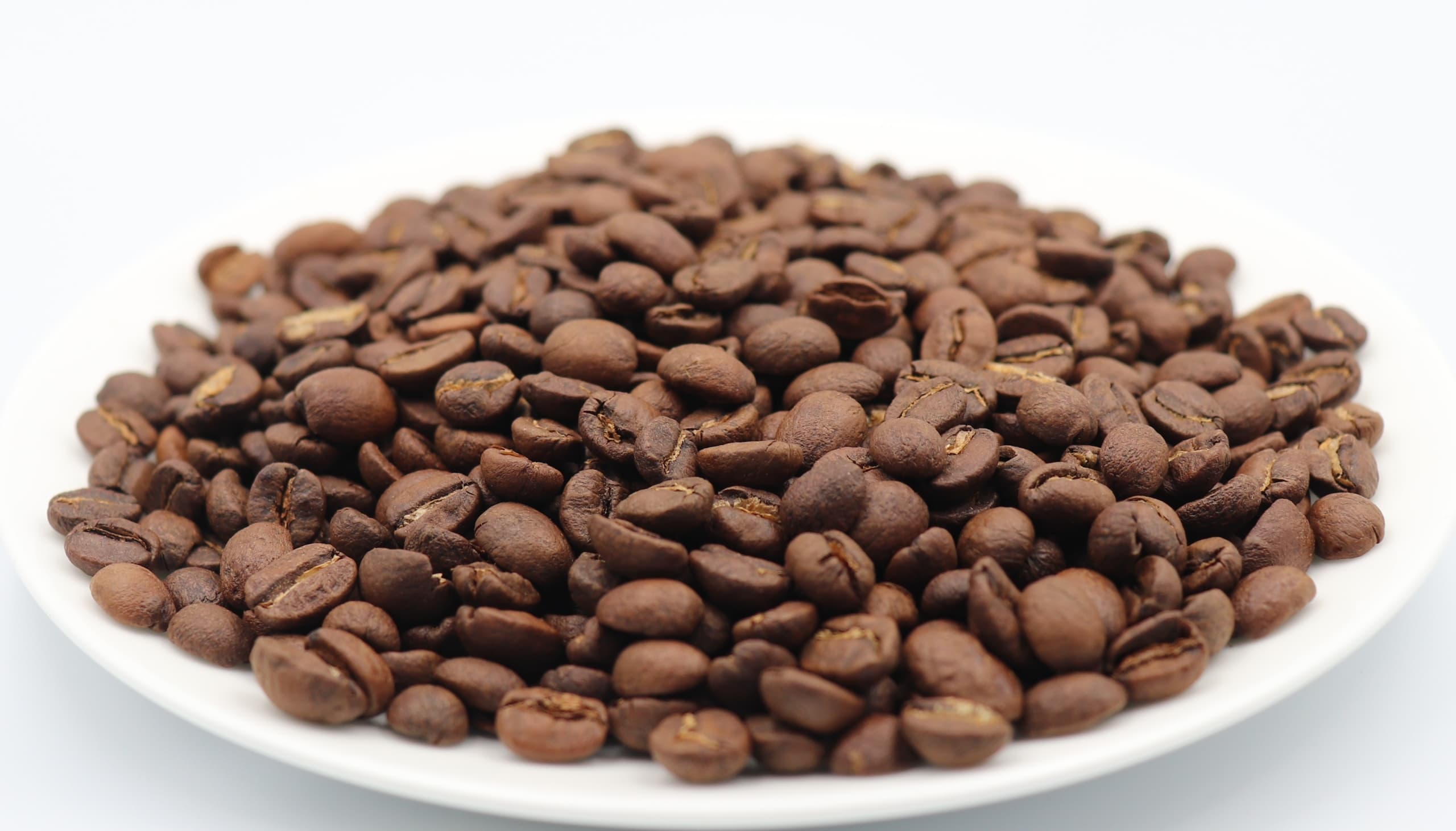 Arabica Salvador